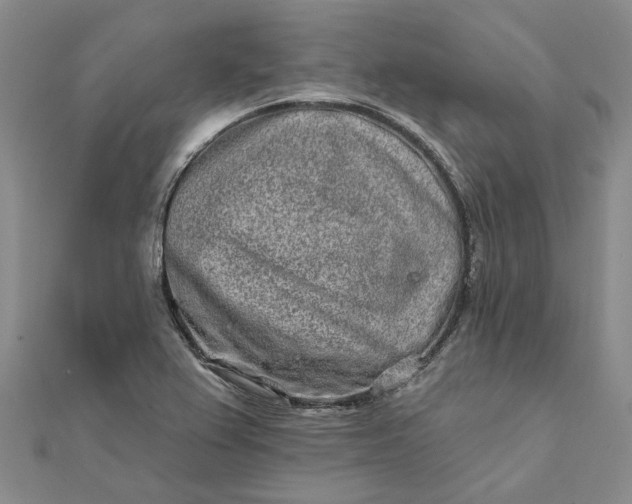 X0000111791367200908061127