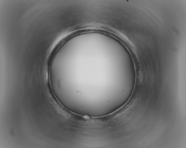 X0000111791368200908061127