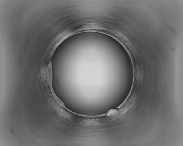 X0000111791369200908061127