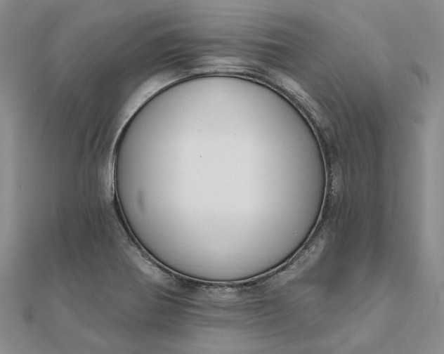 X0000111791370200908061127