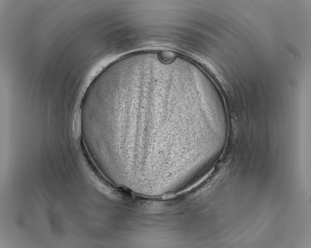 X0000111791371200908061127