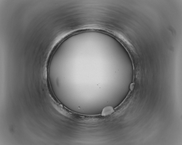 X0000111791372200908061127