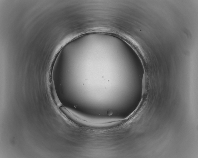 X0000111791373200908061127