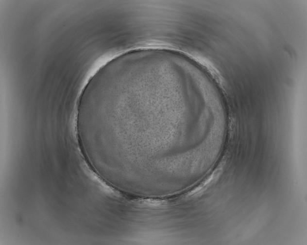 X0000111791374200908061127