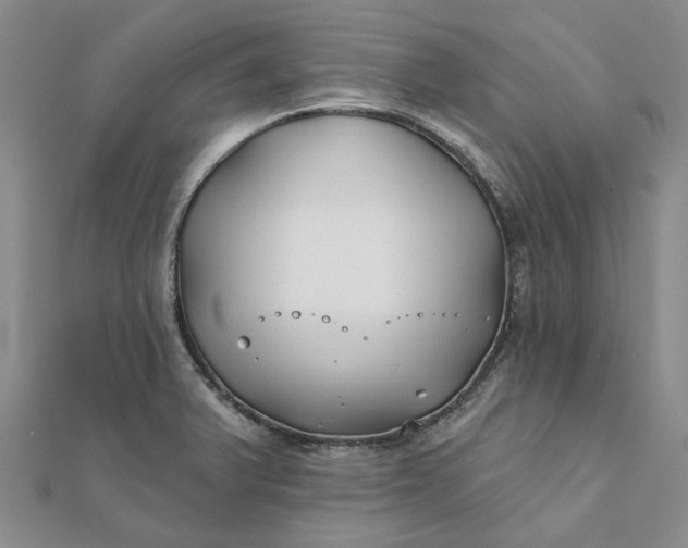 X0000111791375200908061127