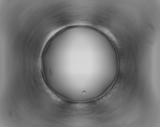 X0000111791380200908061127