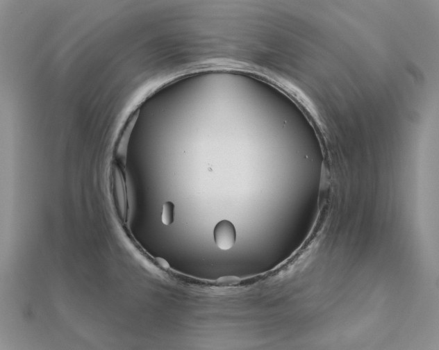 X0000111791381200908061127