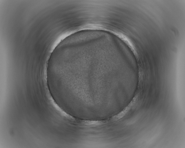 X0000111791382200908061127