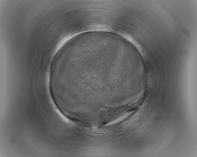 X0000111791383200908061127