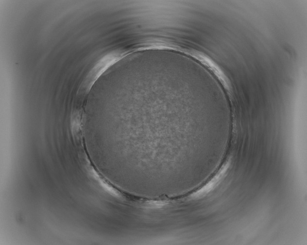 X0000111791385200908061127