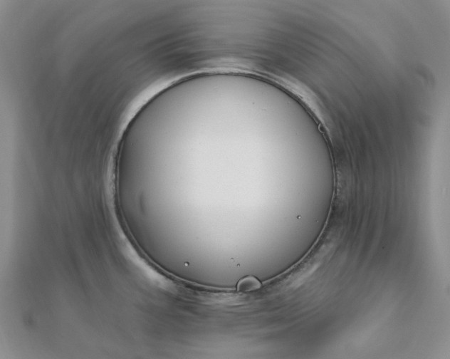 X0000111791387200908061127