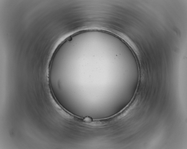 X0000111791388200908061127