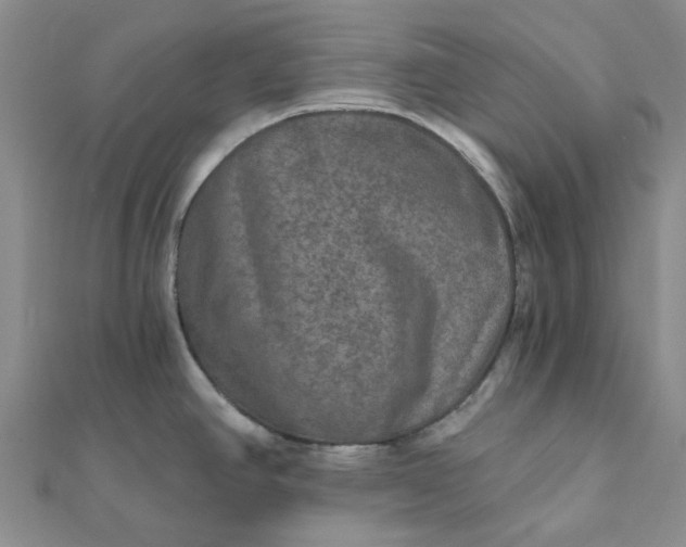 X0000111791390200908061127