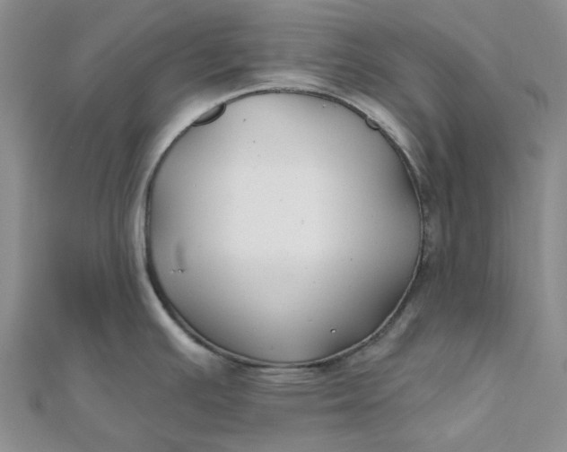 X0000111791391200908061127