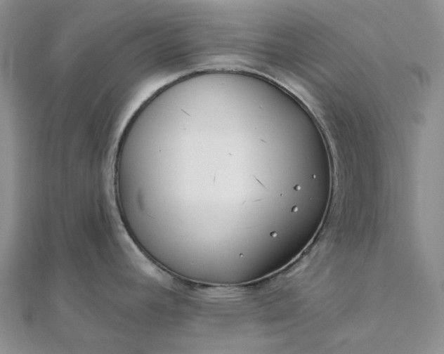 X0000111791392200908061127