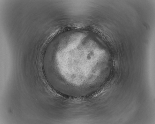 X0000111791393200908061126