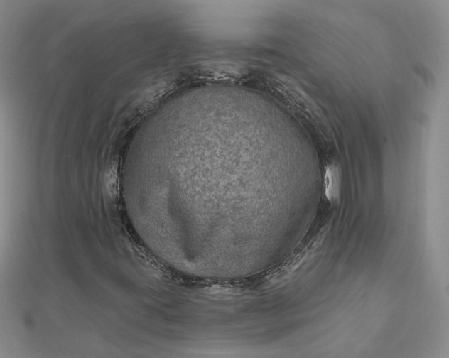 X0000111791395200908061126