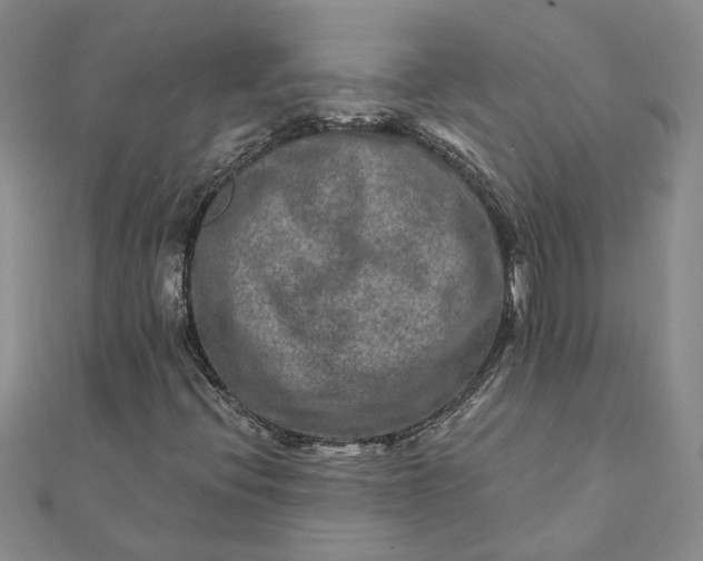 X0000111791396200908061126