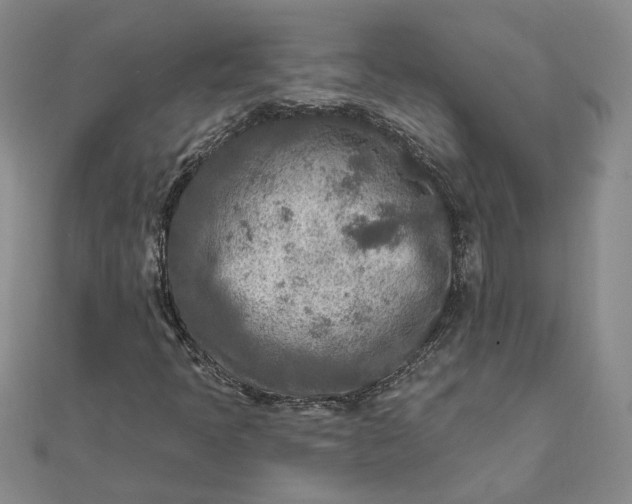 X0000111791397200908061126