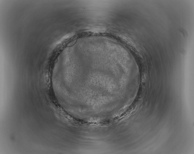 X0000111791398200908061126