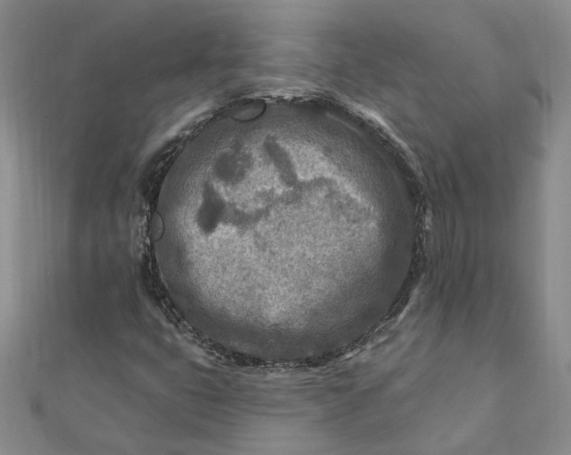 X0000111791399200908061126