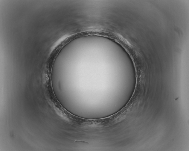 X0000111791400200908061126