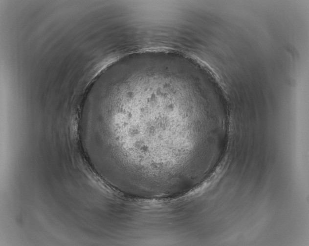 X0000111791401200908061126