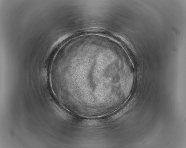 X0000111791402200908061126