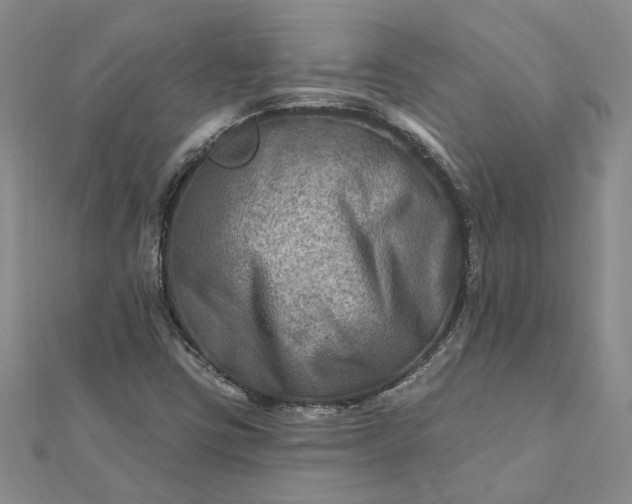 X0000111791403200908061126