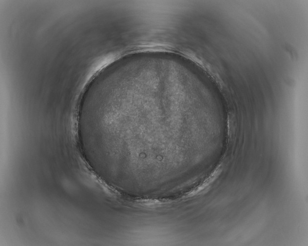 X0000111791405200908061127