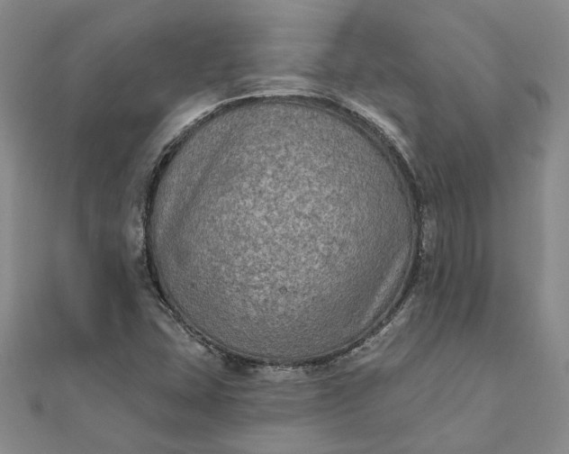 X0000111791407200908061127