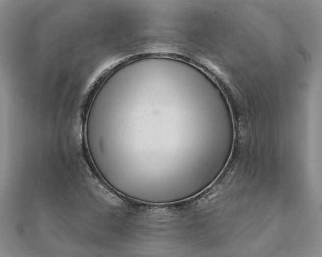 X0000111791408200908061127