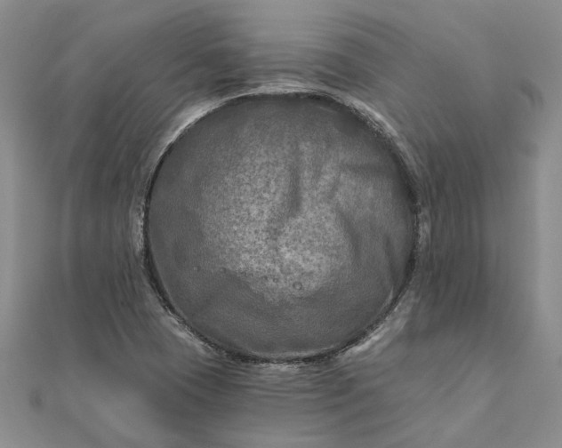 X0000111791409200908061127