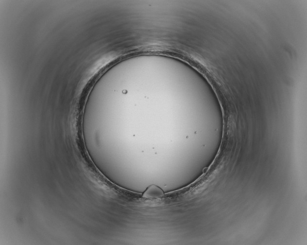 X0000111791410200908061127