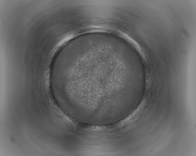 X0000111791411200908061127