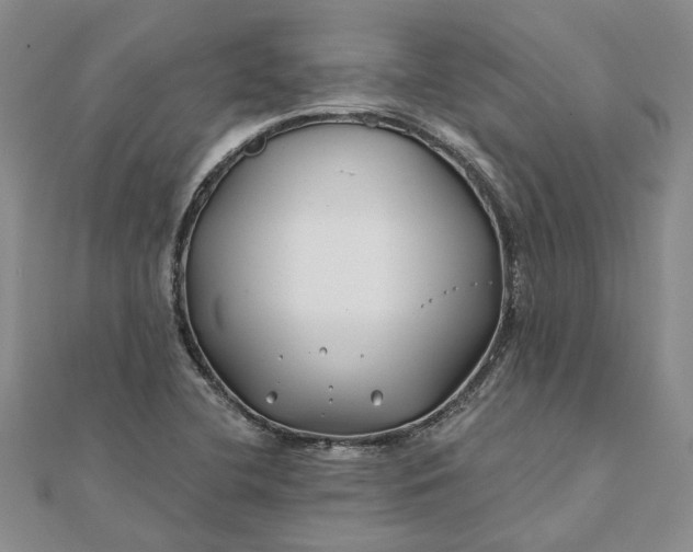 X0000111791412200908061127