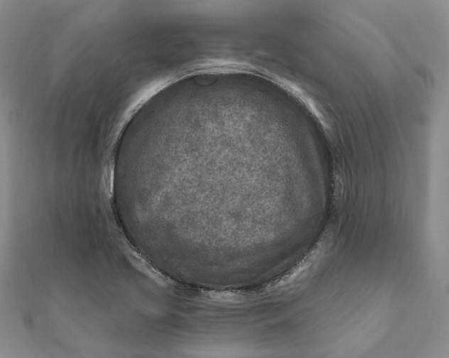 X0000111791413200908061127