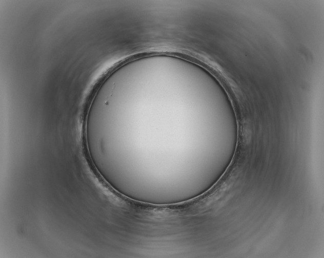 X0000111791416200908061127