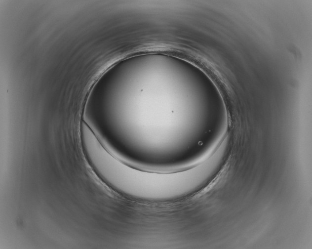 X0000111791417200908061127