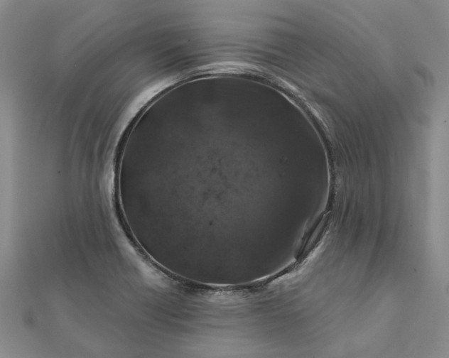 X0000111791418200908061127