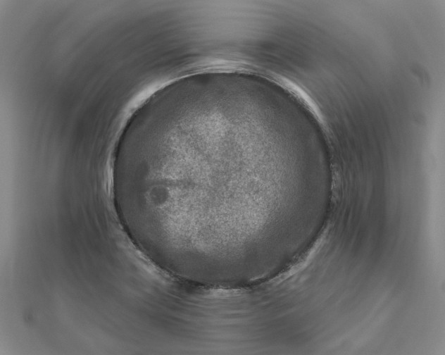 X0000111791419200908061127