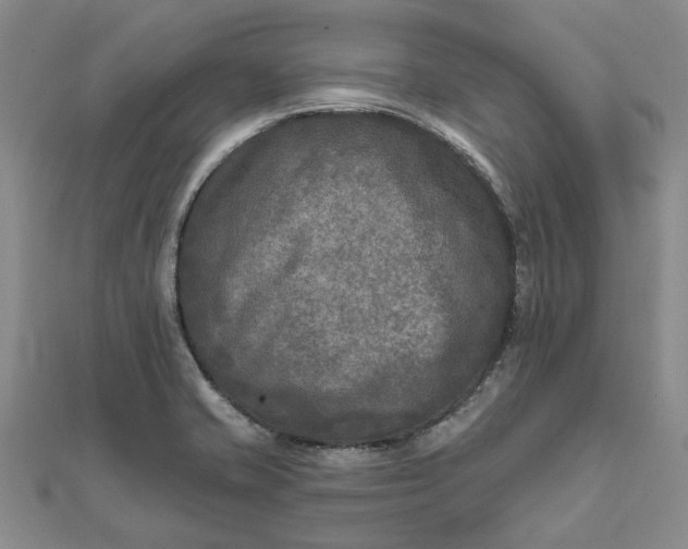 X0000111791421200908061127