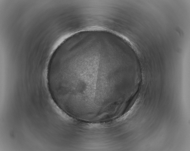 X0000111791422200908061127