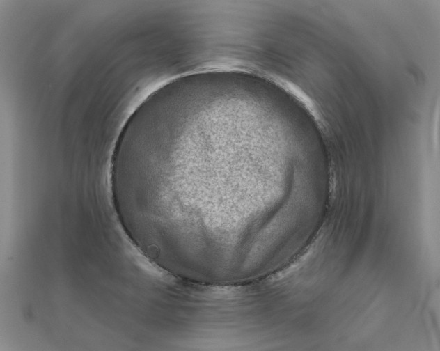 X0000111791423200908061127