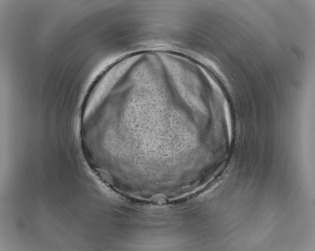 X0000111791424200908061127