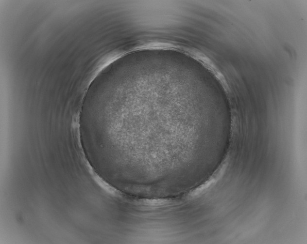 X0000111791425200908061127