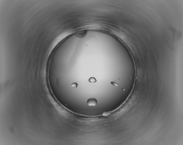 X0000111791426200908061127