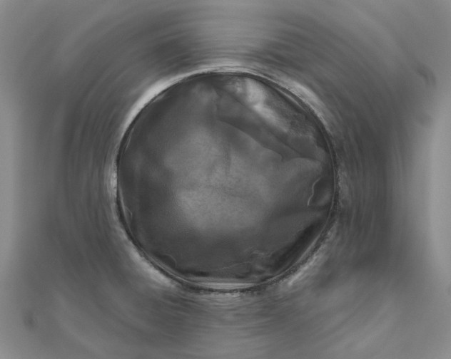 X0000111791428200908061127