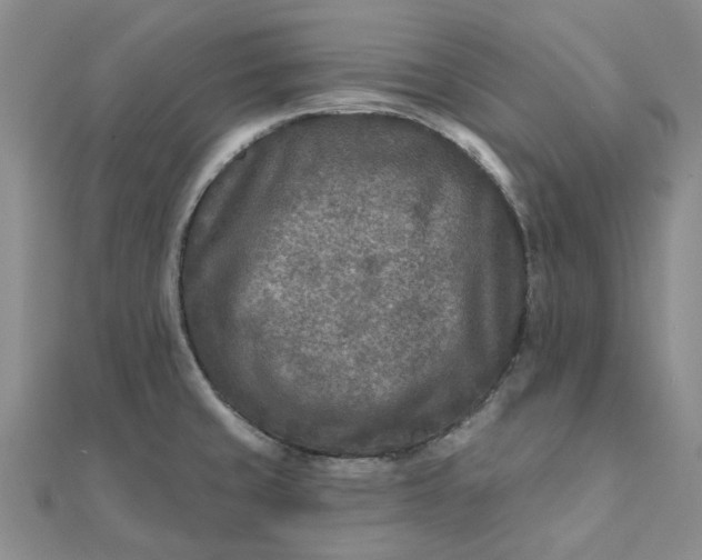 X0000111791429200908061127