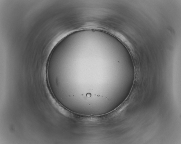 X0000111791431200908061127